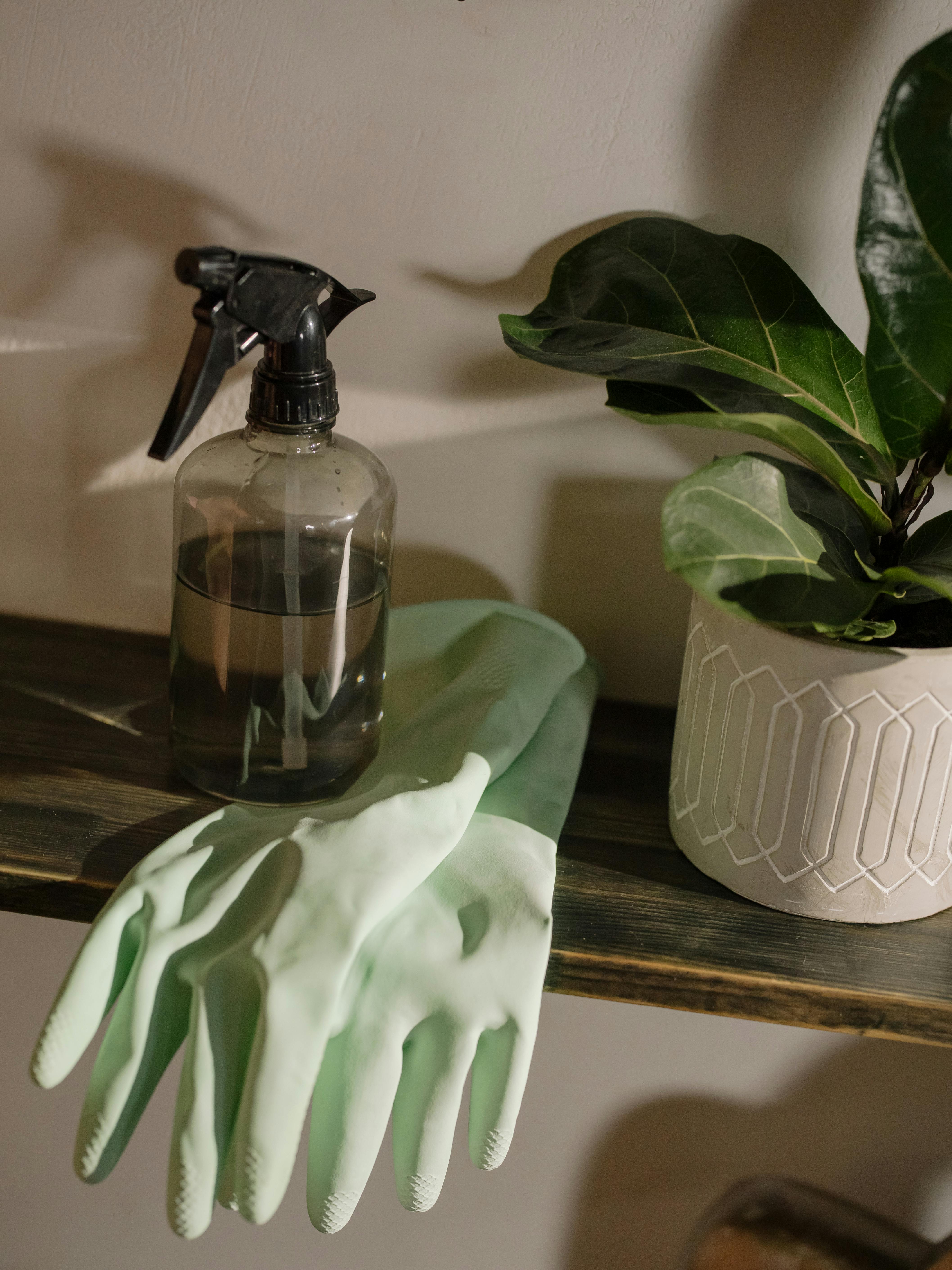 cleaning spray and gloves